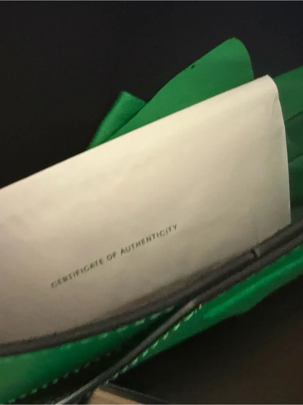 Bottega Veneta Sunglasses